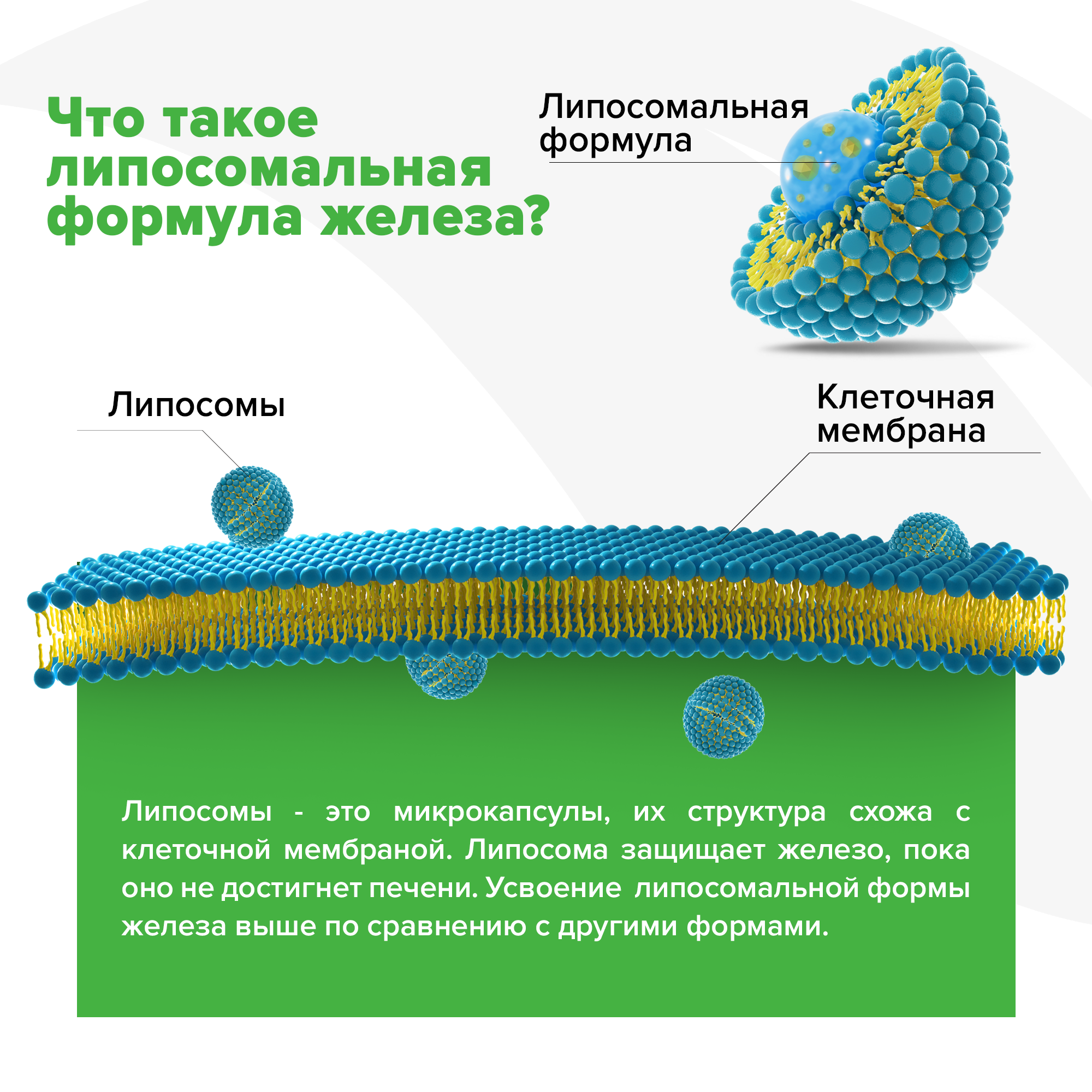 ORZAX, Липосомальное железо 25 мг, капсулы, 90 шт.